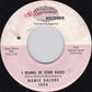 Mamie Galore : Special Agent 34-24-38 / I Wanna Be Your Radio (7", Single)