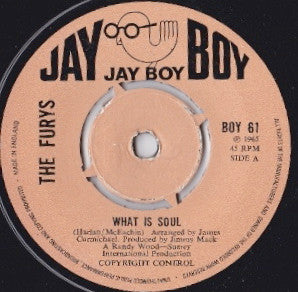 The Furys (13) : What Is Soul (7", RE, Pus)