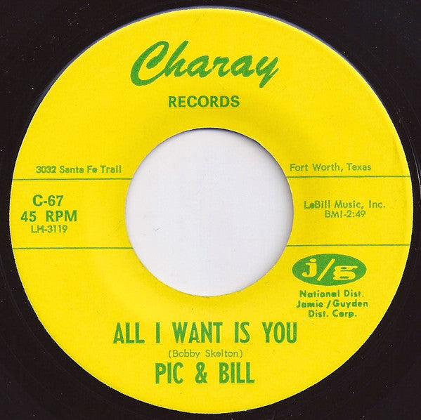 Pic And Bill : All I Want Is You  (7", Single)