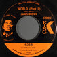 James Brown : World (7", Single, Roc)