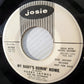 Harry Jaynes And The Jaynemen : My Baby's Comin' Home (7", Promo)