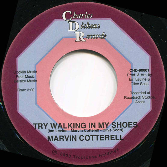 TRY WALKING IN MY SHOES